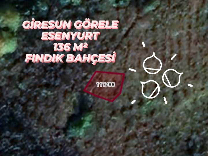 GİRESUN GÖRELE ESENYURT KÖYÜNDE 136M² FINDIK BAHÇESİ SATILIKTIR - GİRESUN GÖRELE fotoğraf 8